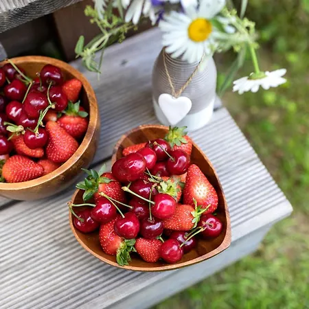 Glamping Health Kamnik