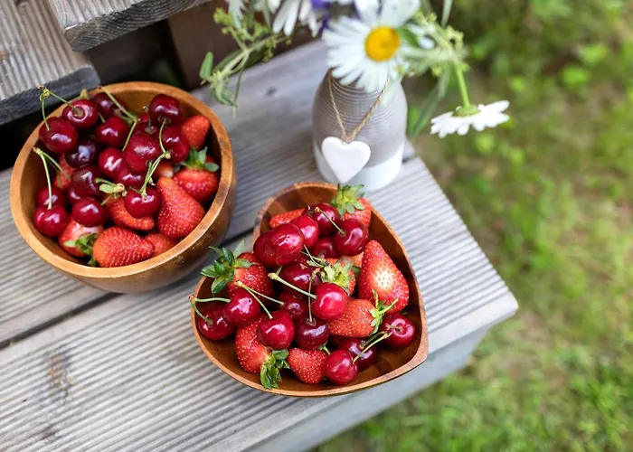 Glamping Health Kamnik